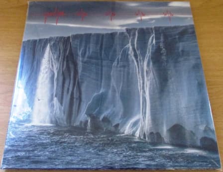 PEARL JAM Gigaton 2xLP VINYL LP RECORD - Image 3
